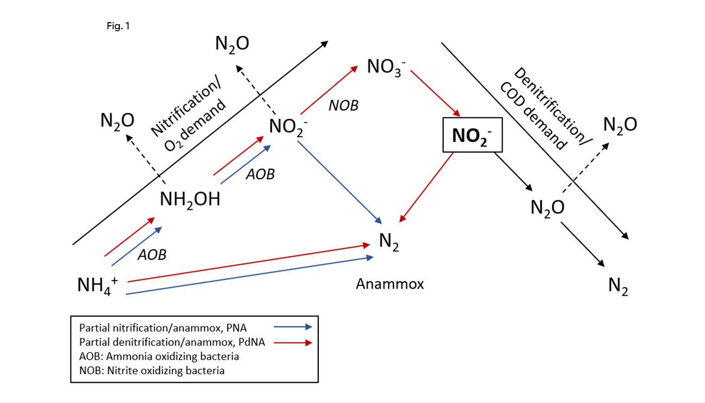 Carbon dosage – Fig 1 _1400x800