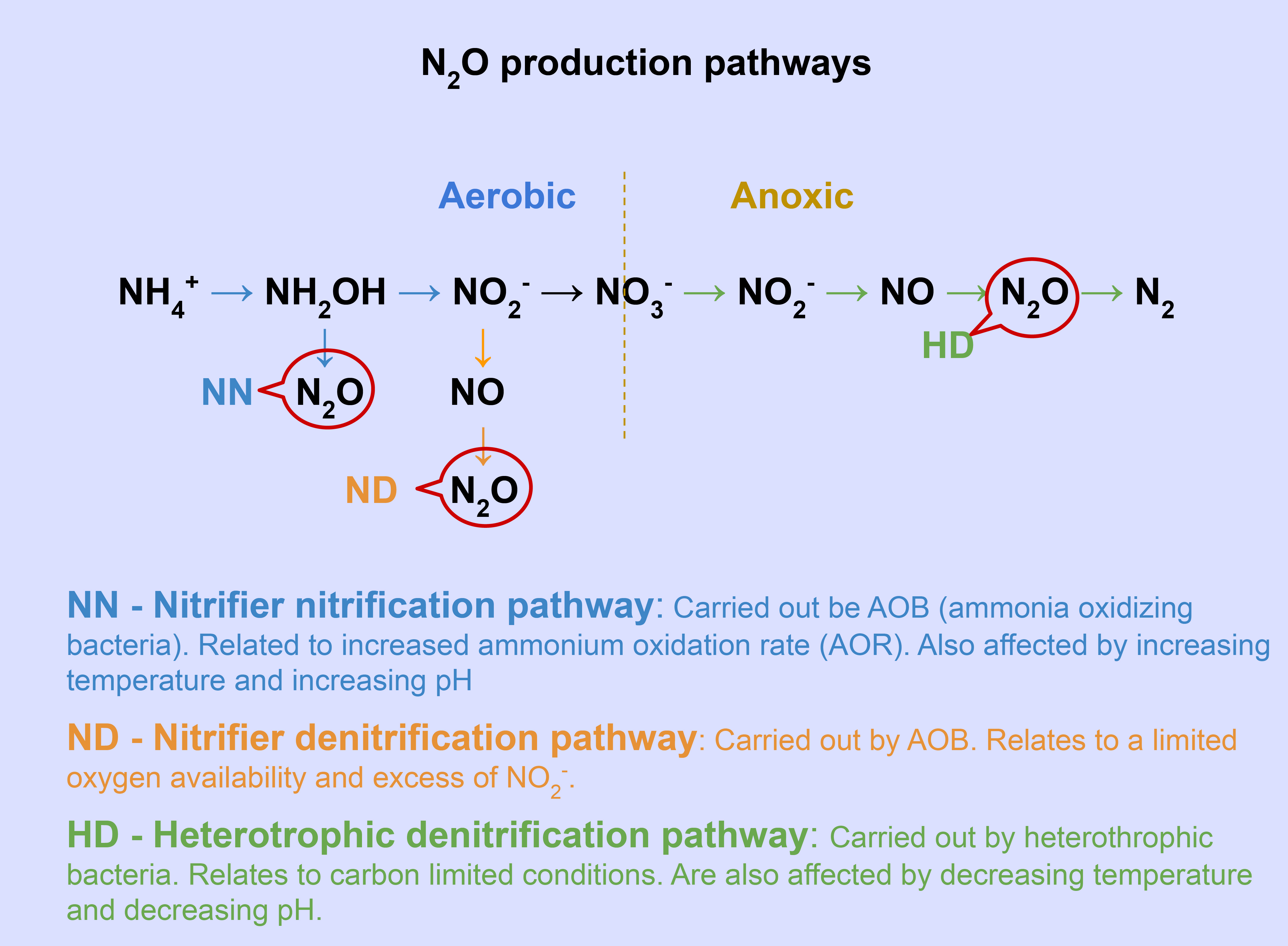 N2O Production Pathways