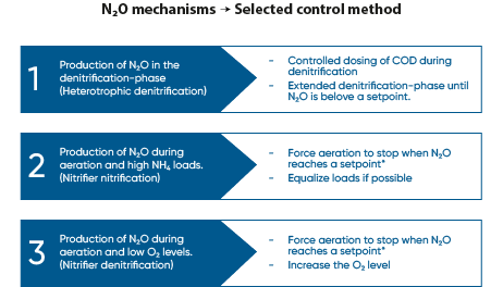 N2O mechanisms
