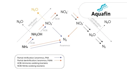 Aquafin_700x400px9